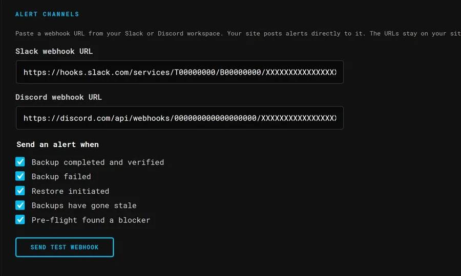 The alert channels panel: Slack and Discord webhook URL fields, the five send-an-alert-when checkboxes, and the Send Test Webhook button.