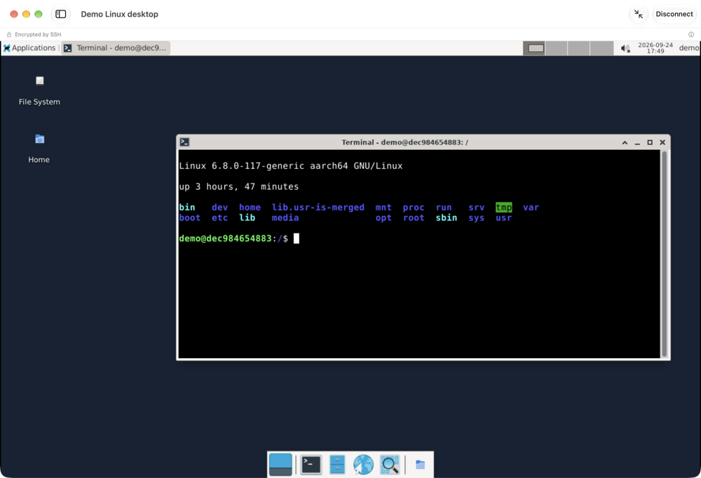 Bodholdt Viewer on a Mac showing a Linux desktop with a terminal window. The bar under the title reads Encrypted by SSH.